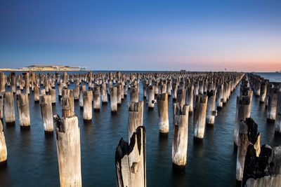 Wooden posts in the sea