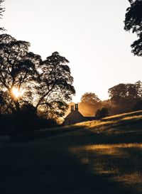 Silhouette trees on field against clear sky during sunset