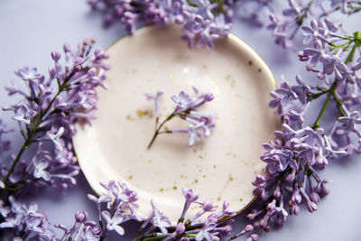 Close-up of purple flowering plants