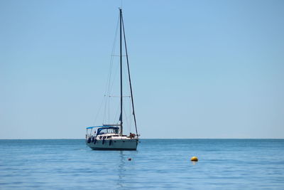 Sailboat sailing in sea against clear sky