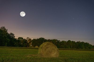 Scenic view of field against clear sky at night