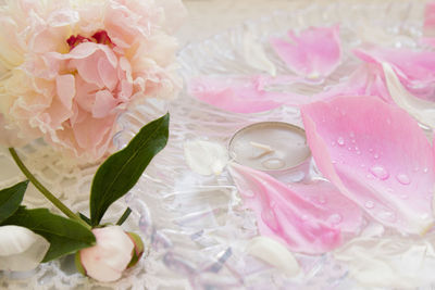 Close-up of pink rose bouquet