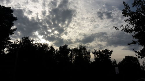 Low angle view of trees against cloudy sky