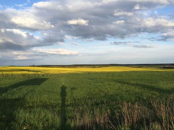 Scenic view of field against cloudy sky