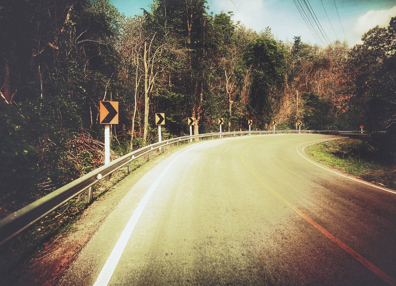 EMPTY ROAD ALONG TREES