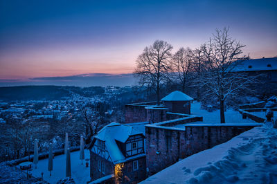 Snow covered trees by buildings against sky during winter