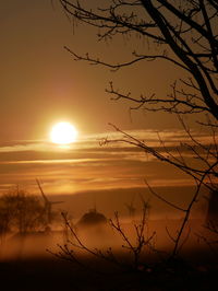 Silhouette bare tree against sky during sunset