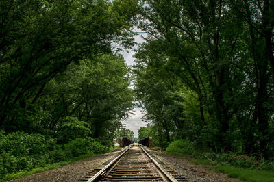 Railroad track amidst trees in forest