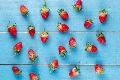 High angle view of fruits against blue background