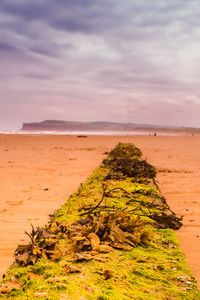 Scenic view of beach against sky