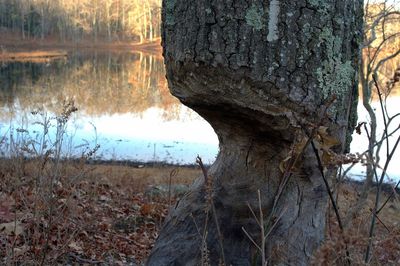 Scenic view of calm lake