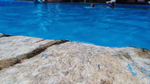 Close-up of person swimming in pool