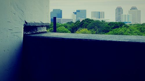 Plants growing in building