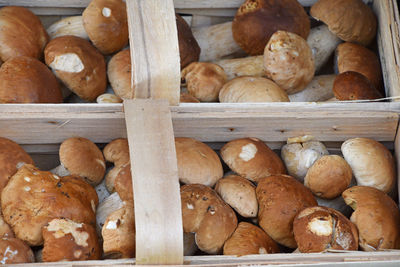 High angle view of mushrooms in containers