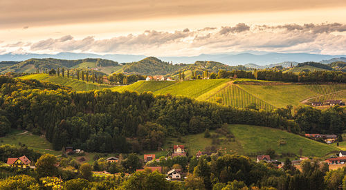 Scenic view of landscape against sky