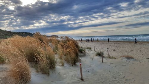 Panoramic view of beach against sky