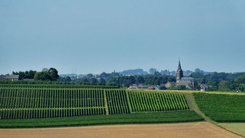 View of landscape against clear sky