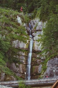 View of waterfall in forest