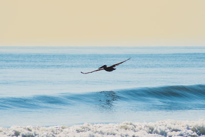 Man flying over sea against sky