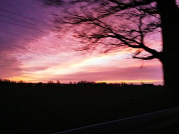 Silhouette trees on field against dramatic sky at sunset