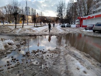 Reflection of trees in puddle during winter