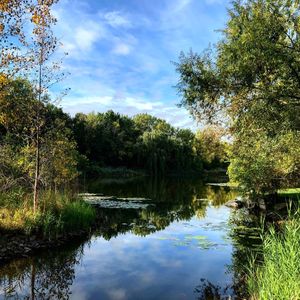 Scenic view of lake in forest against sky