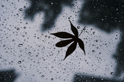 Full frame shot of raindrops on glass window