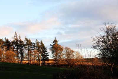 Scenic view of field against cloudy sky