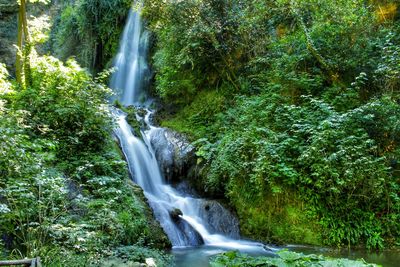 Waterfall in forest