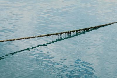 High angle view of rope on sea