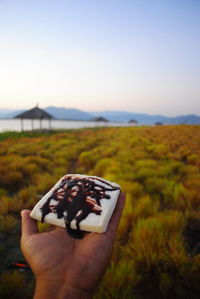 Close-up of person hand holding umbrella on land