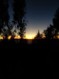 Silhouette trees against sky during sunset