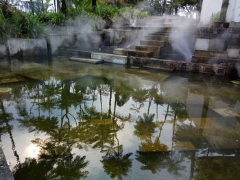 Reflection of trees in lake