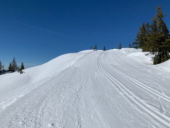 Snow covered land and trees against sky