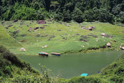 High angle view of lake amidst trees