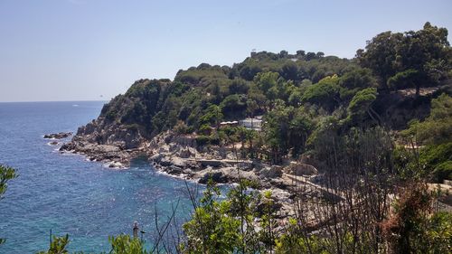 Scenic view of sea against clear sky