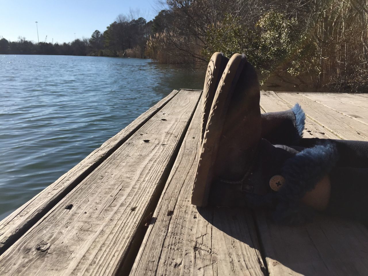 wood - material, wooden, water, wood, pier, lake, plank, tranquility, bench, nature, sunlight, boardwalk, tranquil scene, relaxation, no people, day, one animal, outdoors, close-up, wood paneling