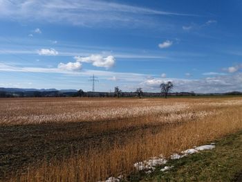 Scenic view of field against sky