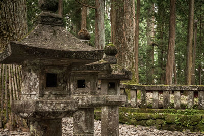 View of old ruin in forest