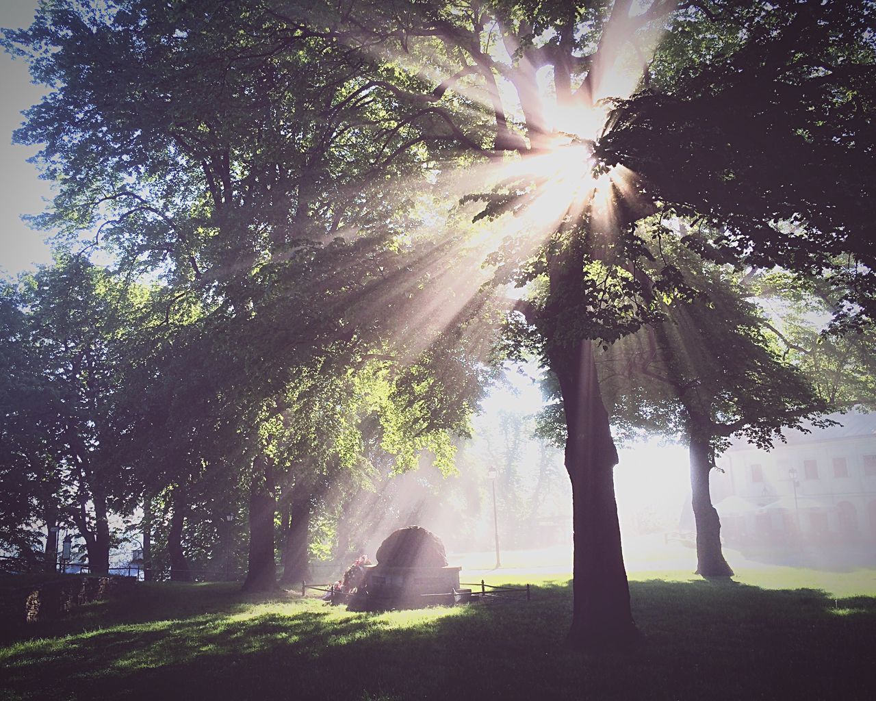 Park zamkowy