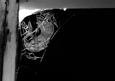 Low angle view of spider web against sky at night