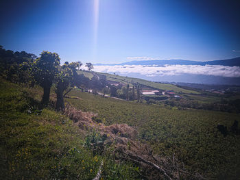 Scenic view of landscape against sky