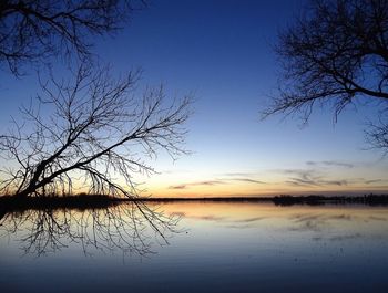 Silhouette of bare trees by lake at sunset