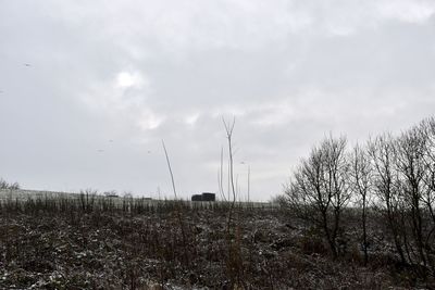 Wind turbines on field against sky