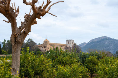 The historic monastery of san jeroni de cotalba in valencia