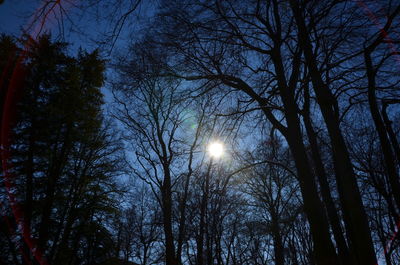 Low angle view of bare trees against sky