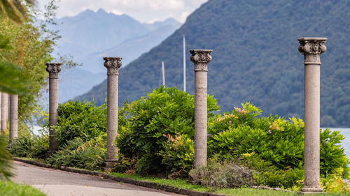 Trees and plants against mountain range