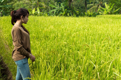 Side view of young woman standing on rice paddy