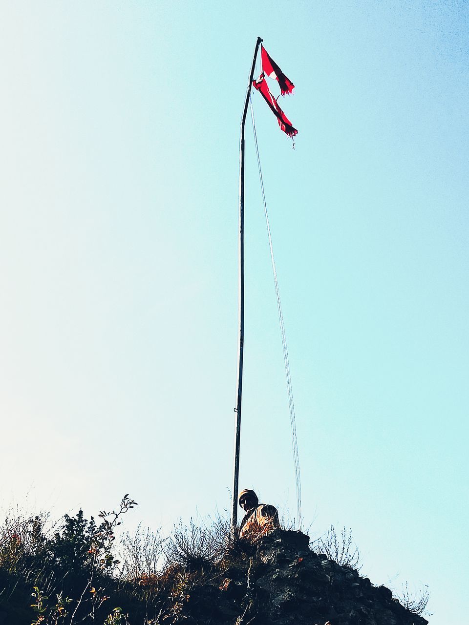 sky, low angle view, nature, copy space, plant, flag, clear sky, day, patriotism, tree, no people, blue, environment, outdoors, tranquility, pole, pride, flying, wind, independence