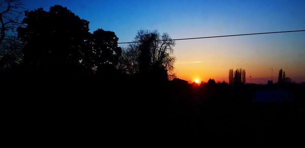 Silhouette of trees at sunset